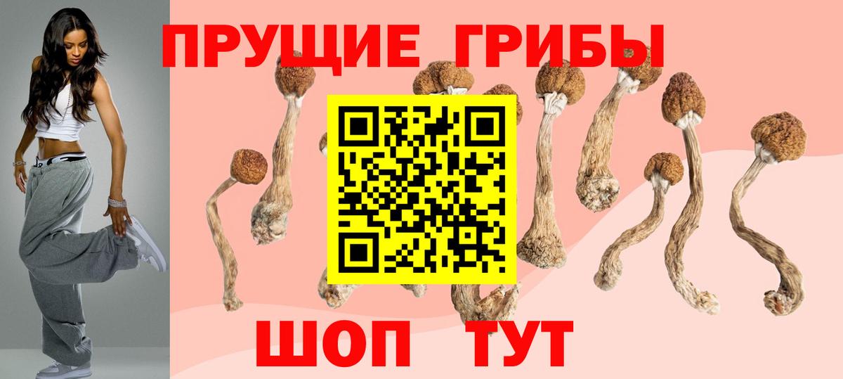 Псилоцибиновые грибы Cubensis  Вход с VPN  Липецк 